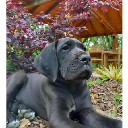 Holiday home Bienvenue A La Ferme