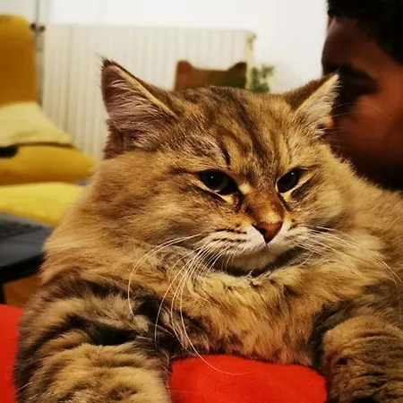 Bienvenue A La Ferme Holiday home *