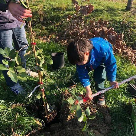 Bienvenue A La Ferme Castanet-Tolosan