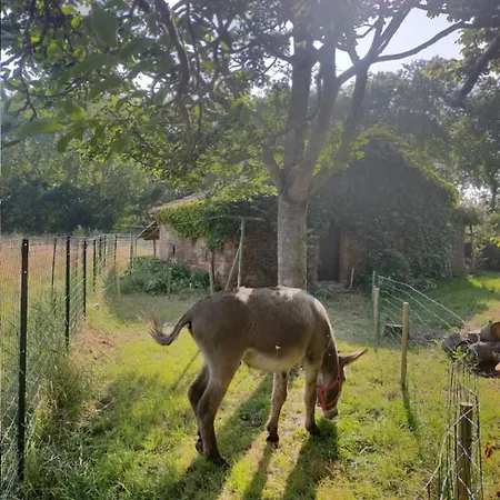 Bienvenue A La Ferme Holiday home Castanet-Tolosan