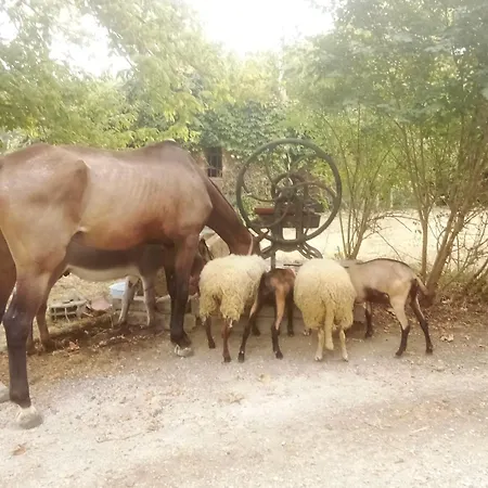 Bienvenue A La Ferme Holiday home *